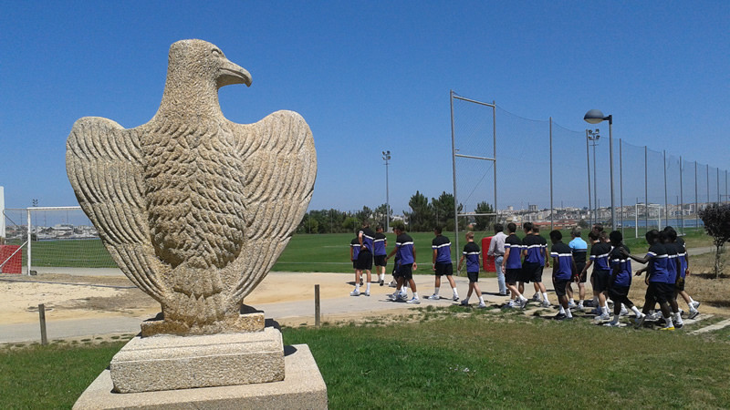 eagle