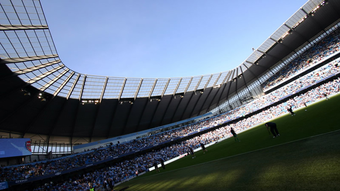 New Stadium Shot 2010 a