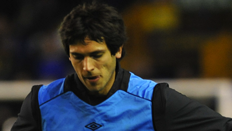 Wayne Bridge