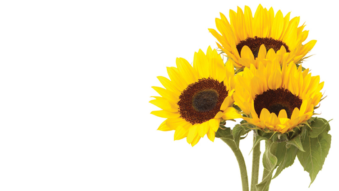 sunday lunch mothers day at city of manchester stadium