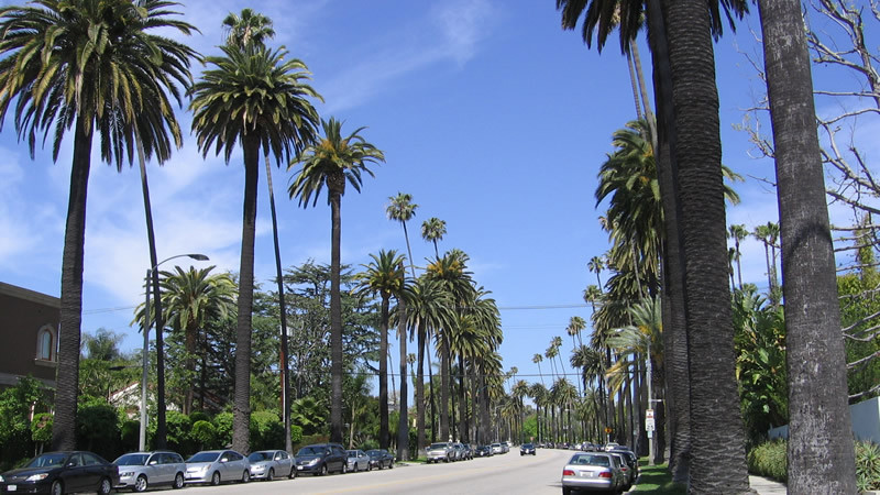 Beverly hills