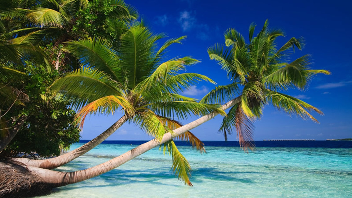 Etihad Airways Maldives shot