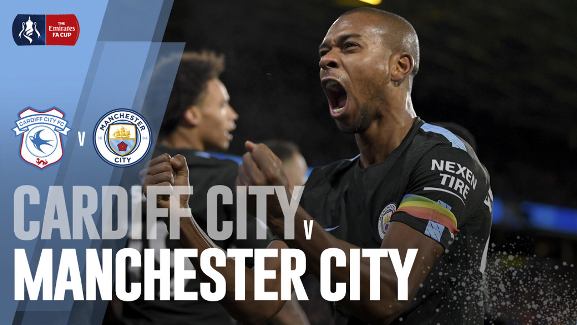 Cardiff x Man City Fernandinho