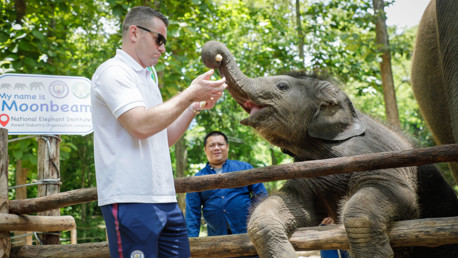 เชย์ กิฟเว่นพบช้างน้อย'มูนบีม'