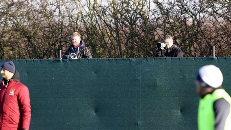 Snappers at the ground