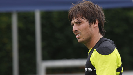 Silva Vid Holding Image