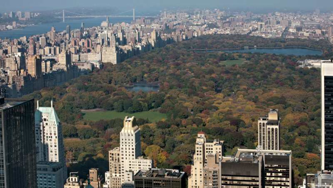 Central Park