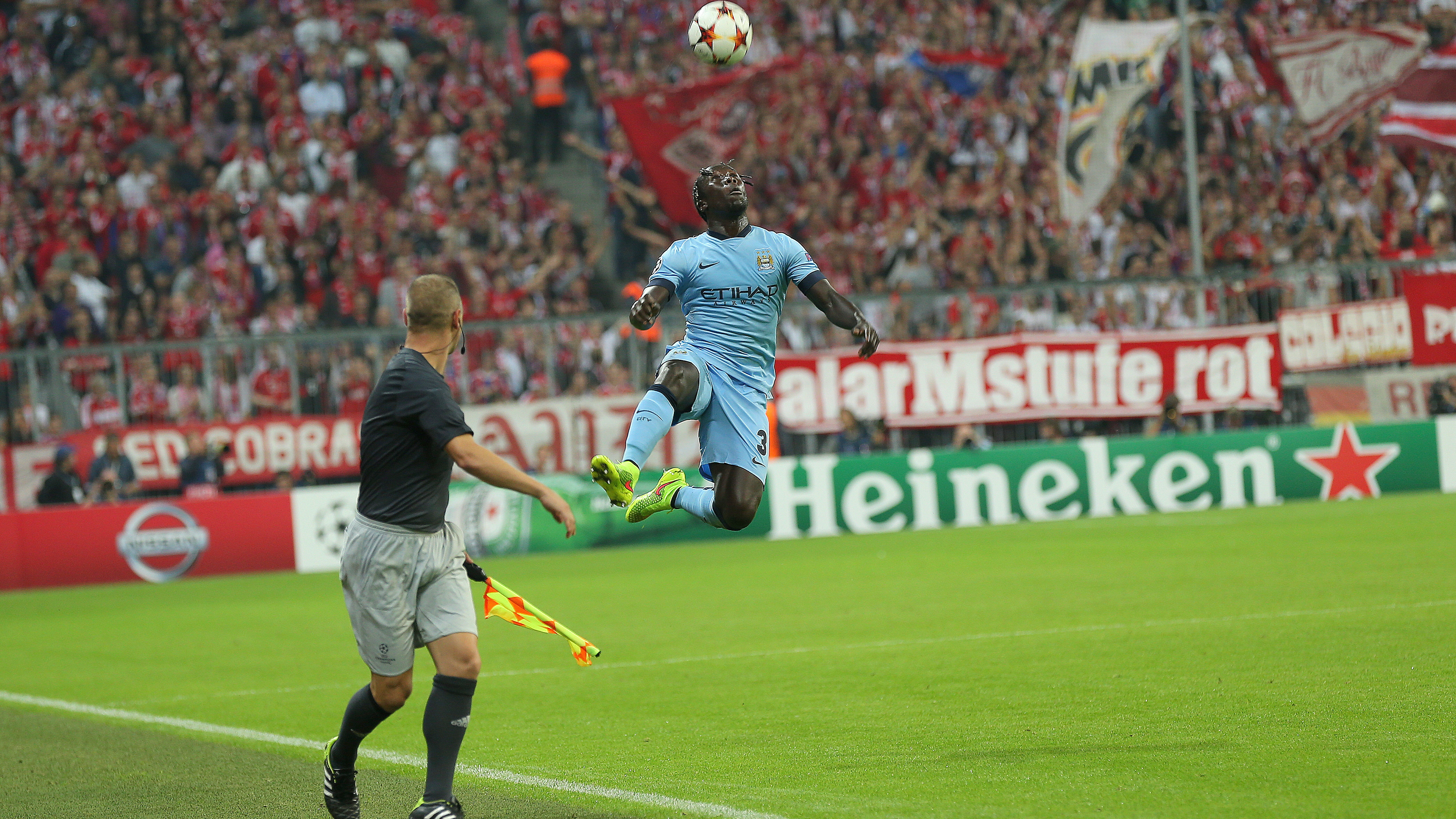 Flying Bacaray