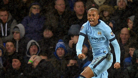fernandinho