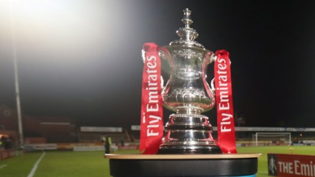 FA Cup trophy