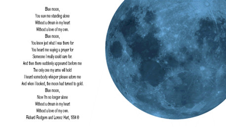 시티의 대표 응원가 BLUE MOON