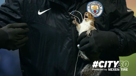 #City30: Nice one squirrel!