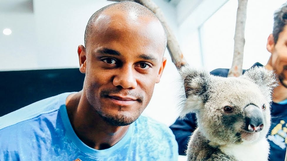 FURRY FRIEND : Kompany and a koala!