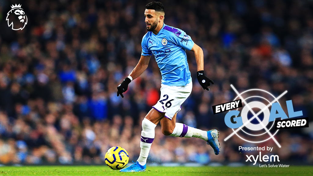 Riyad Mahrez: Every goal