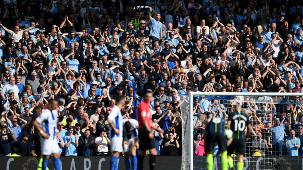 CHAMPIONS : Delight in the stands!