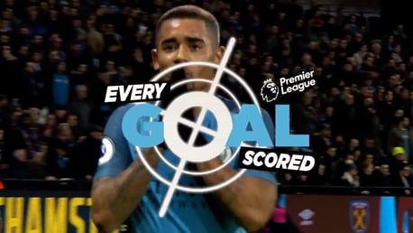 Every EPL Goal - Gabriel Jesus!