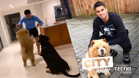 City Away #3: Cancelo's Doggy Day Care and Mendy's Brush Strokes