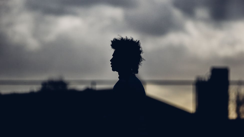 SILHOUETTE SHOT : Leroy, against a moody skyline