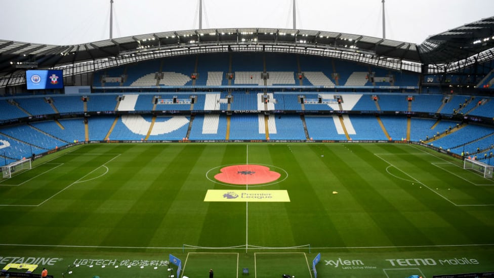 HOME : The Etihad pitch in fine condition ahead of kick-off.