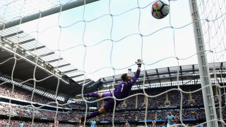 GOAL OF THE SEASON: Fernandinho v Stoke City.