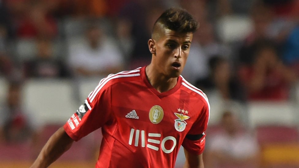 EARLY DAYS : His professional career began with Benfica, whose academy he joined in 2007.